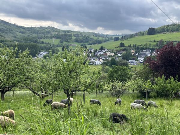 Jetzt F R Naturschutzpreis Des Lahn Dill Kreises Bewerben Lahn Dill Kreis