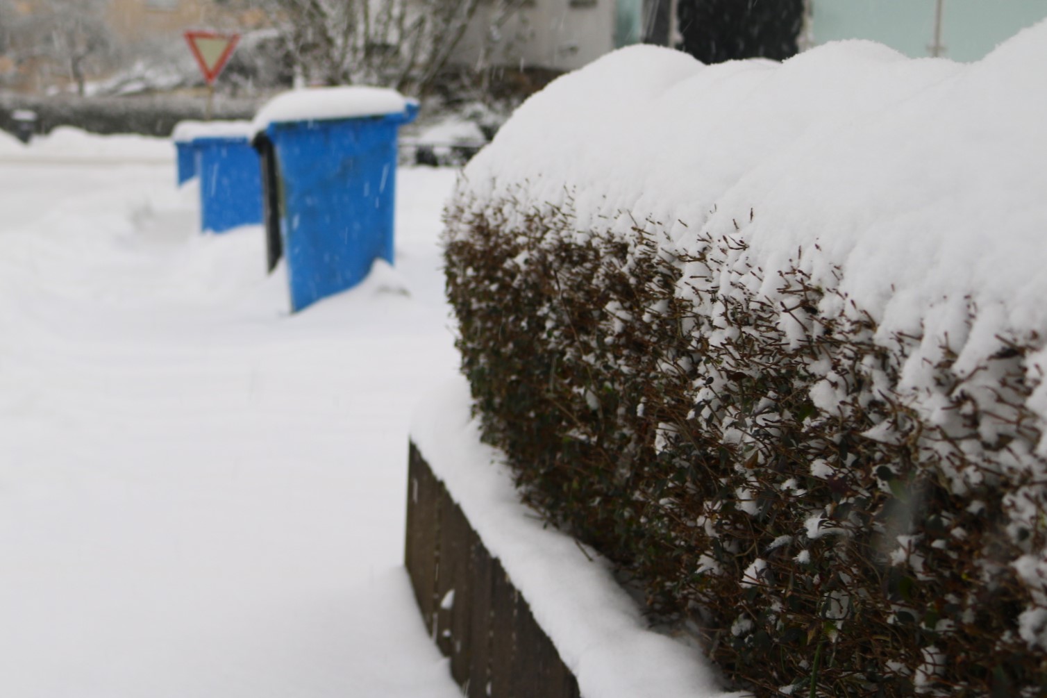 Eingeschneite Hecken, Straßen und Mülltonnen – in Teilen des Lahn-Dill-Kreises liegen fast 40 Zentimeter Schnee. Foto: Lahn-Dill-Kreis/Marie-Therese Koch