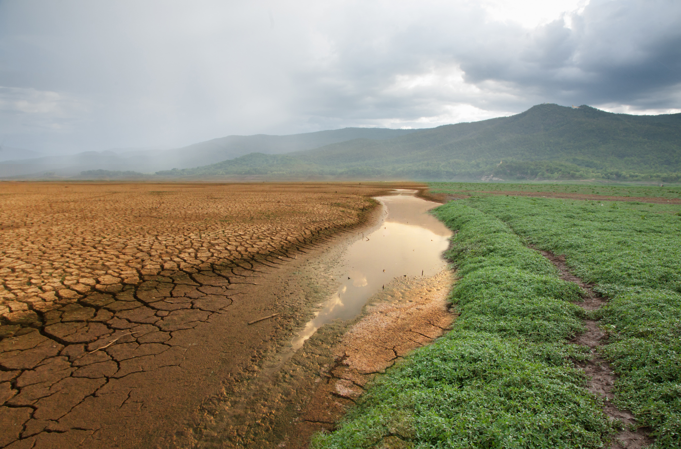 Beim Klimafolgenanpassungsworkshop wurden Ideen gesammelt, um effektiv auf Klimaveränderungen zu reagieren. Foto: piyaset von Getty Images Signature via canva.com