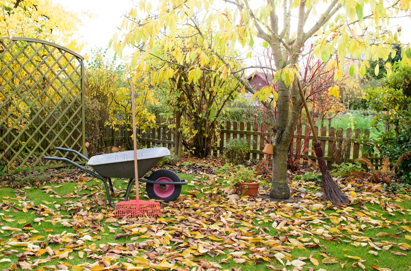 Die Untere Naturschutzbehörde des Kreises gibt Hinweise, wie man die Gartenarbeit naturschützend gestalten kann. Foto: schulzie von Getty Images via canva.com